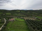 Agies Paraskies Kreta, Agies Paraskies: Großes Grundstück zu verkaufen Grundstück kaufen